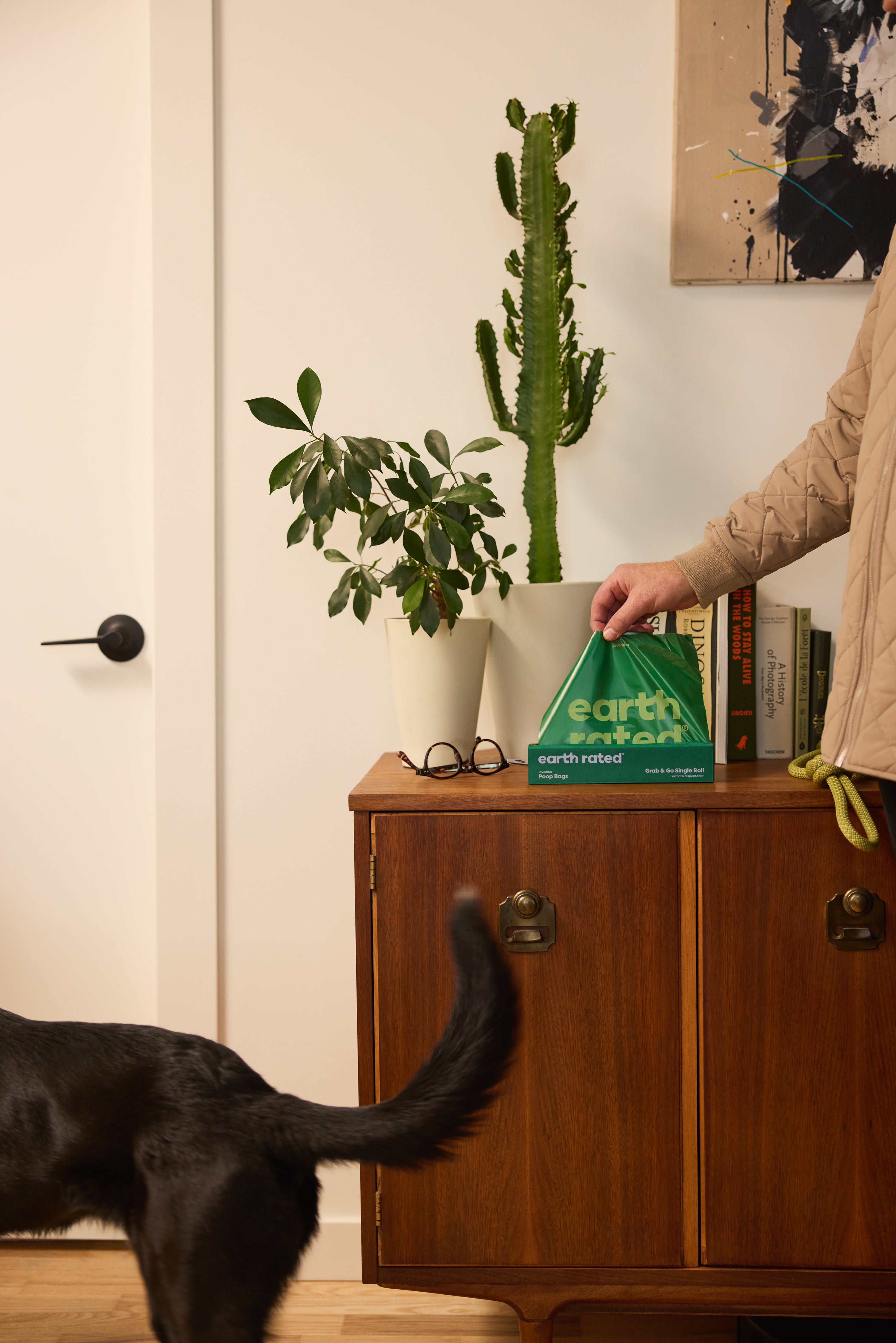 How to create a dog-friendly entryway