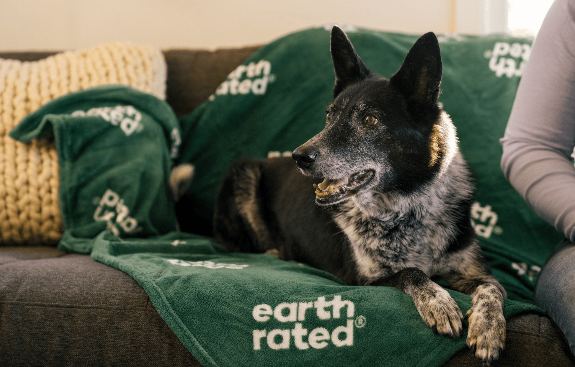 How to Cut Dog Nails: Tips for a Safe and Easy Trimming