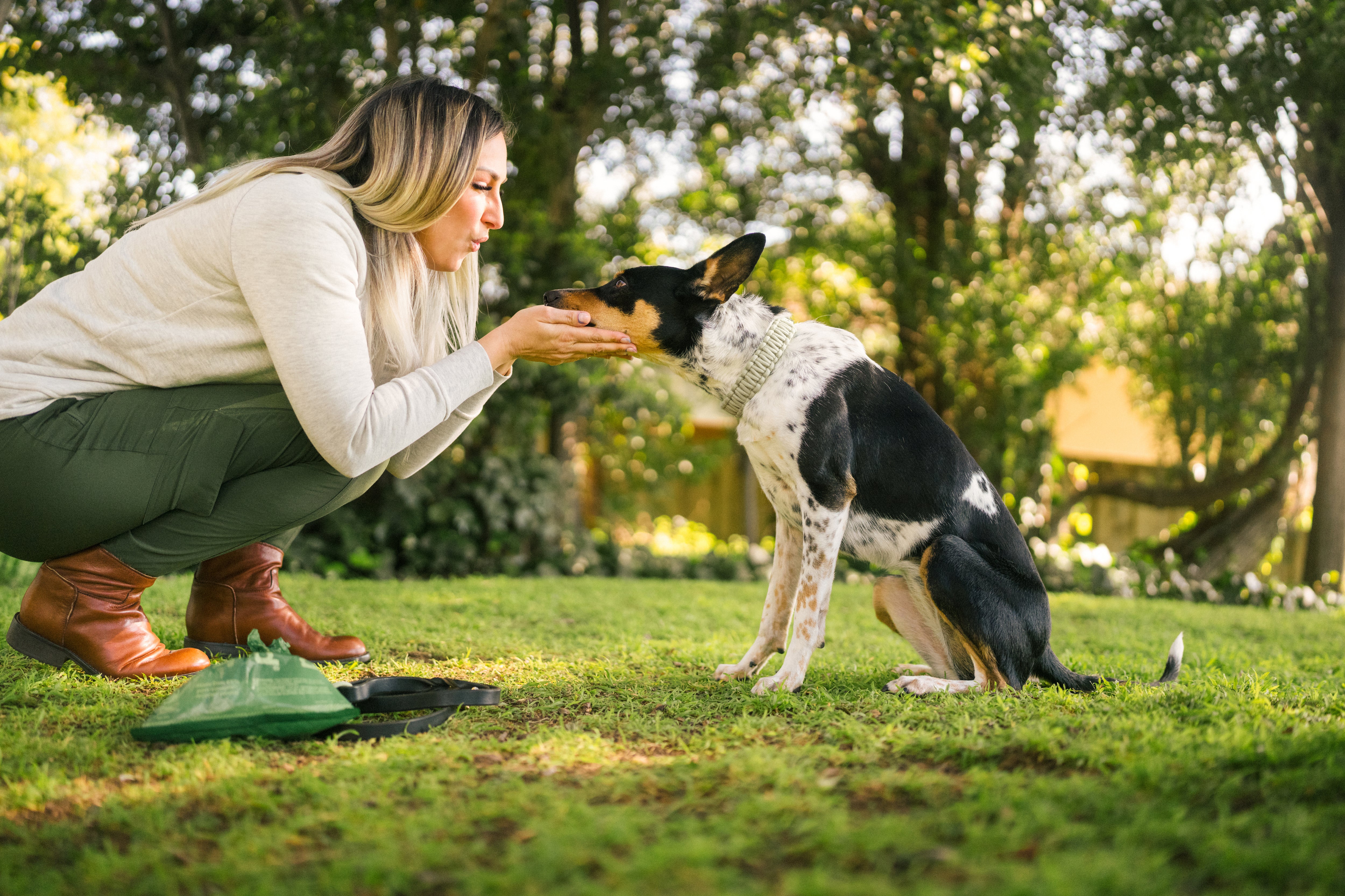 How to Plan a Summer Vacation With Your Dog