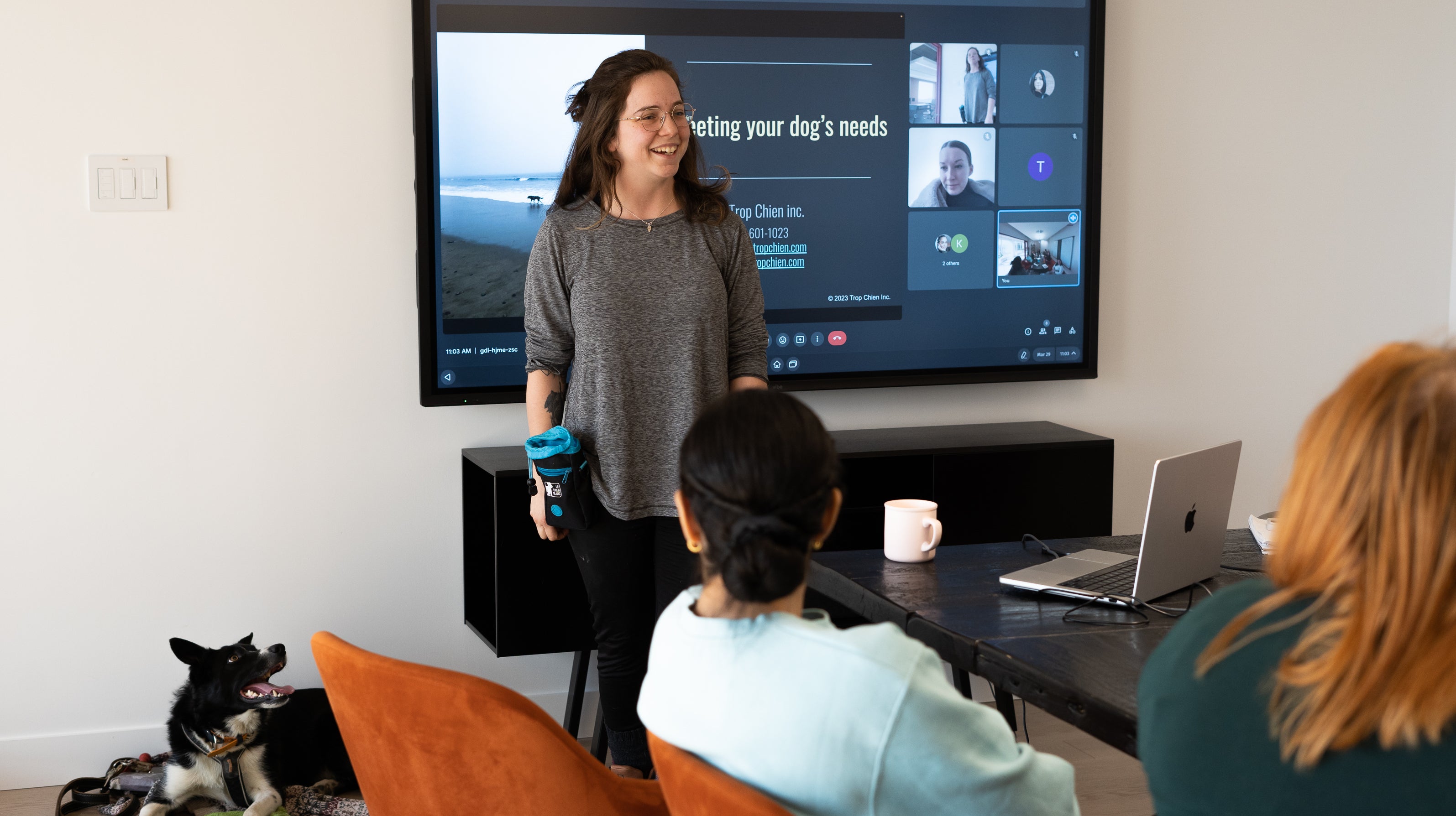 Learning About Dog Behavior