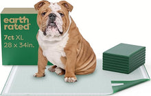 7 Count Trial Pack - Max Absorbency Pee Pads With AbsorbShield™+ Technology