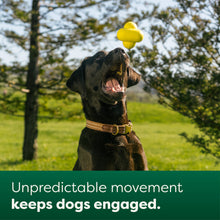 Récupérer un jouet