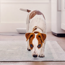 Dog Pee Pads - Max Absorbency Training Pads With AbsorbShield™+ Technology