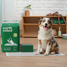 Dog sitting on an earth rated pee pad with the pack next to him