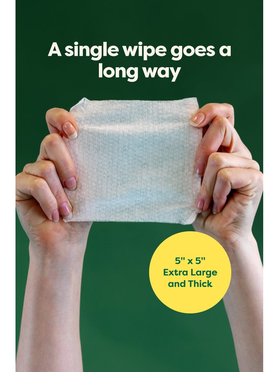 Earth Rated Dog Ear Wipes One MessFree Step for Fresh Ears
