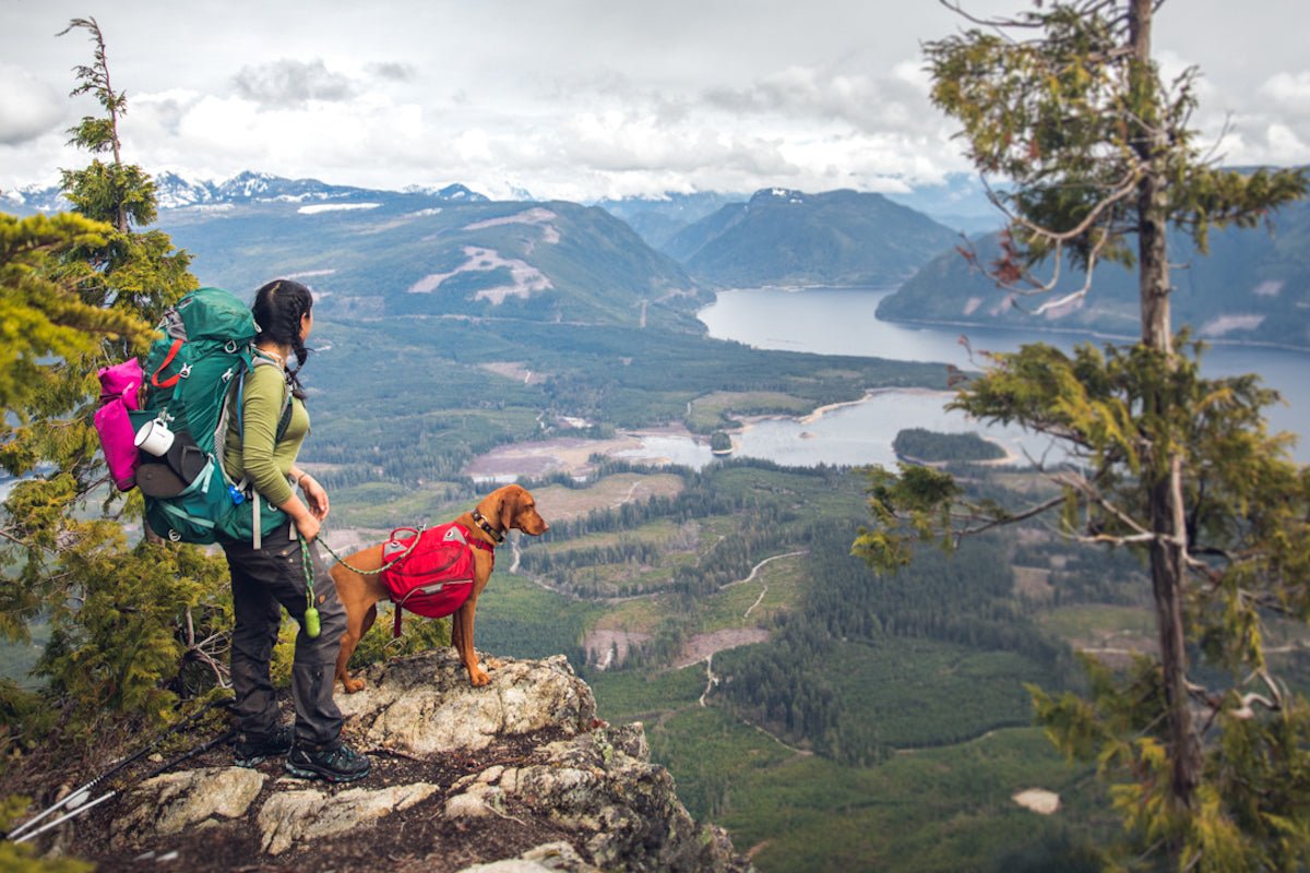Use this Ultimate Dog Camping Checklist Before Your Next Hiking Trip with Dogs