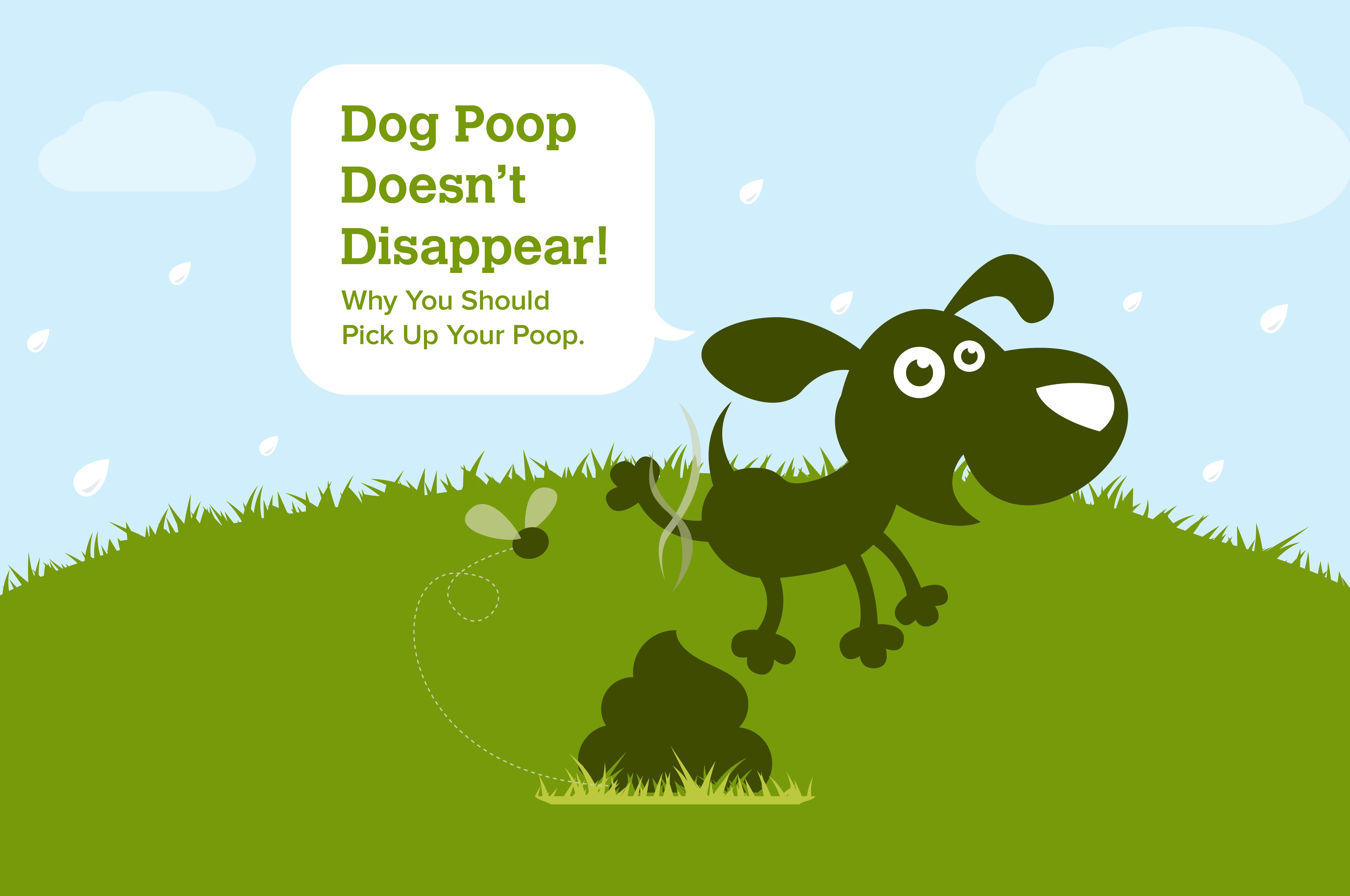 Why You Should Pick Up Your Dog's Poop: Infographic