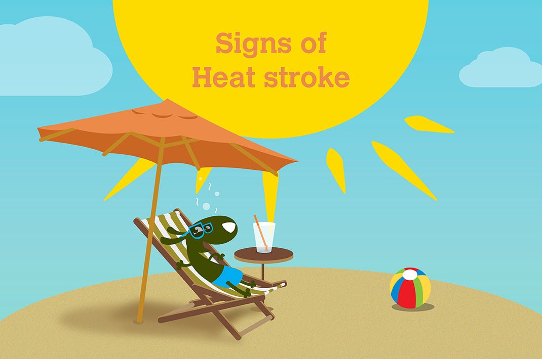 Infographic: Signs Of Heatstroke In Dogs