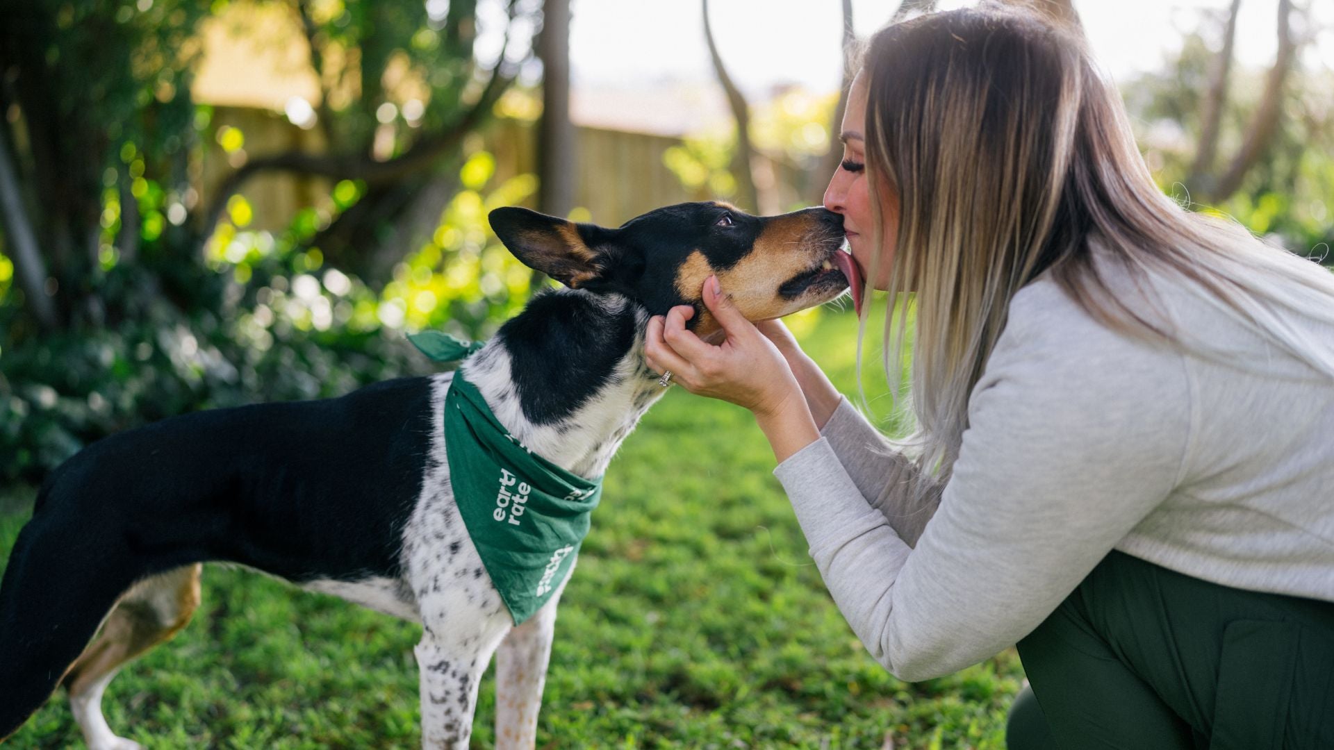 Why Do Dogs Lick You: Insights & Explanations