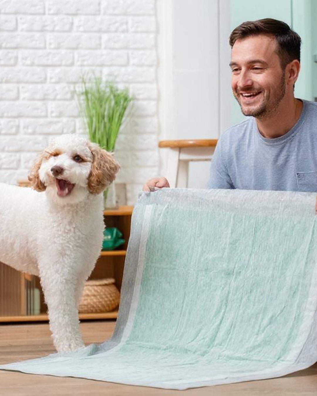 How to Use a Dog Pee Pad: A Practical Guide for Dog Owners