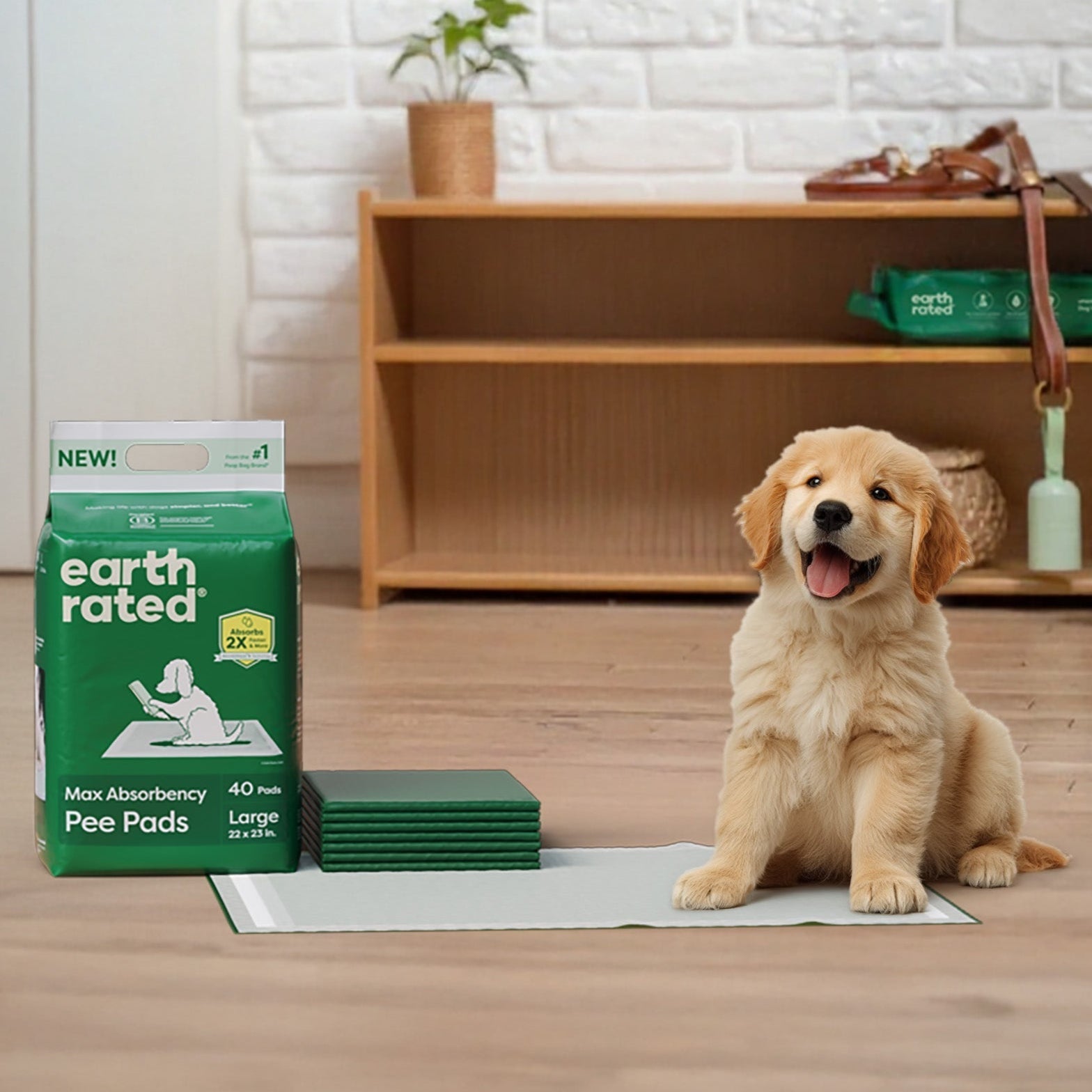 How to Train a Puppy to Use Pee Pads the Smart Way | Earth Rated