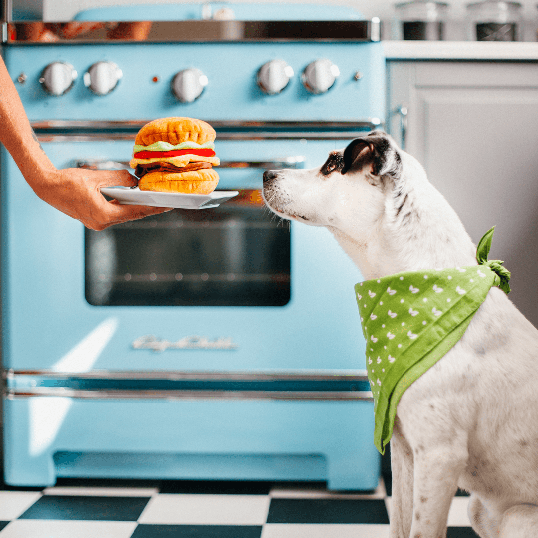 NEVER Feed Your Dog These Toxic Foods
