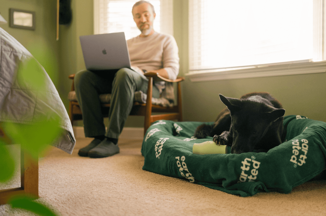 How to Keep a Dog Entertained While at Work