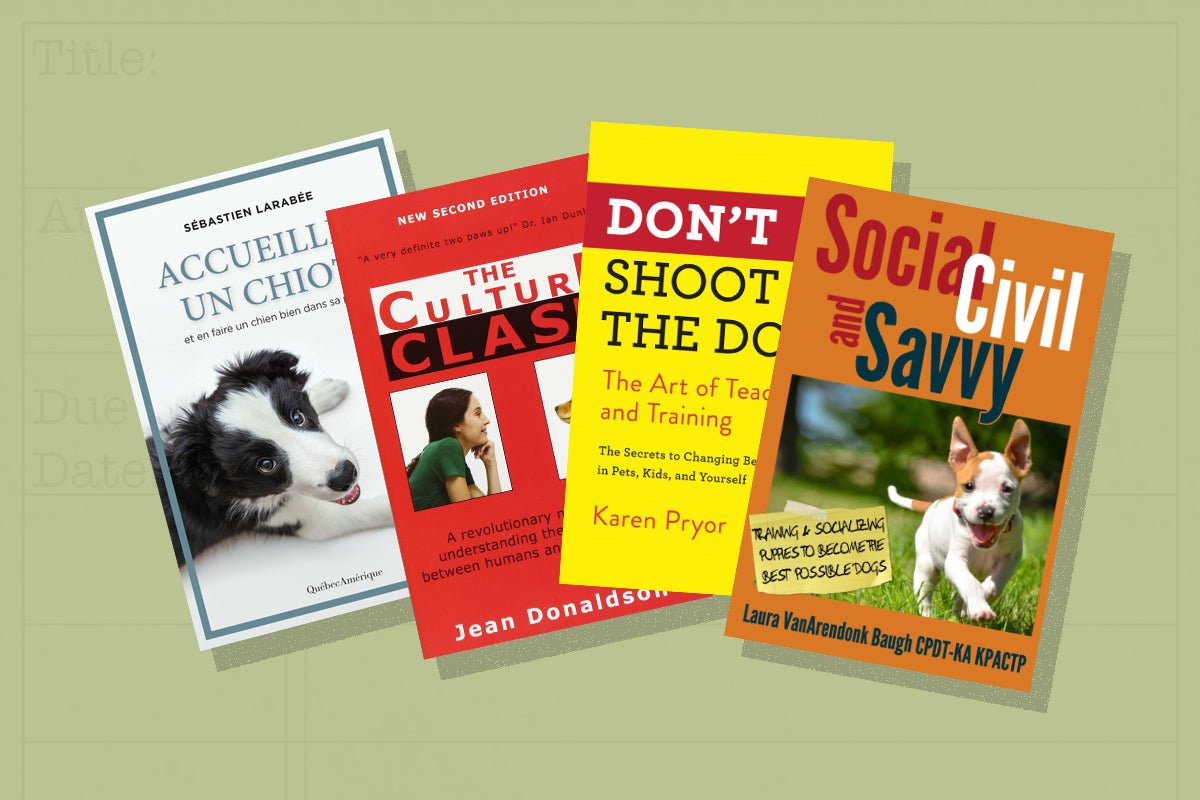 The Best Books for Dog Training Tips