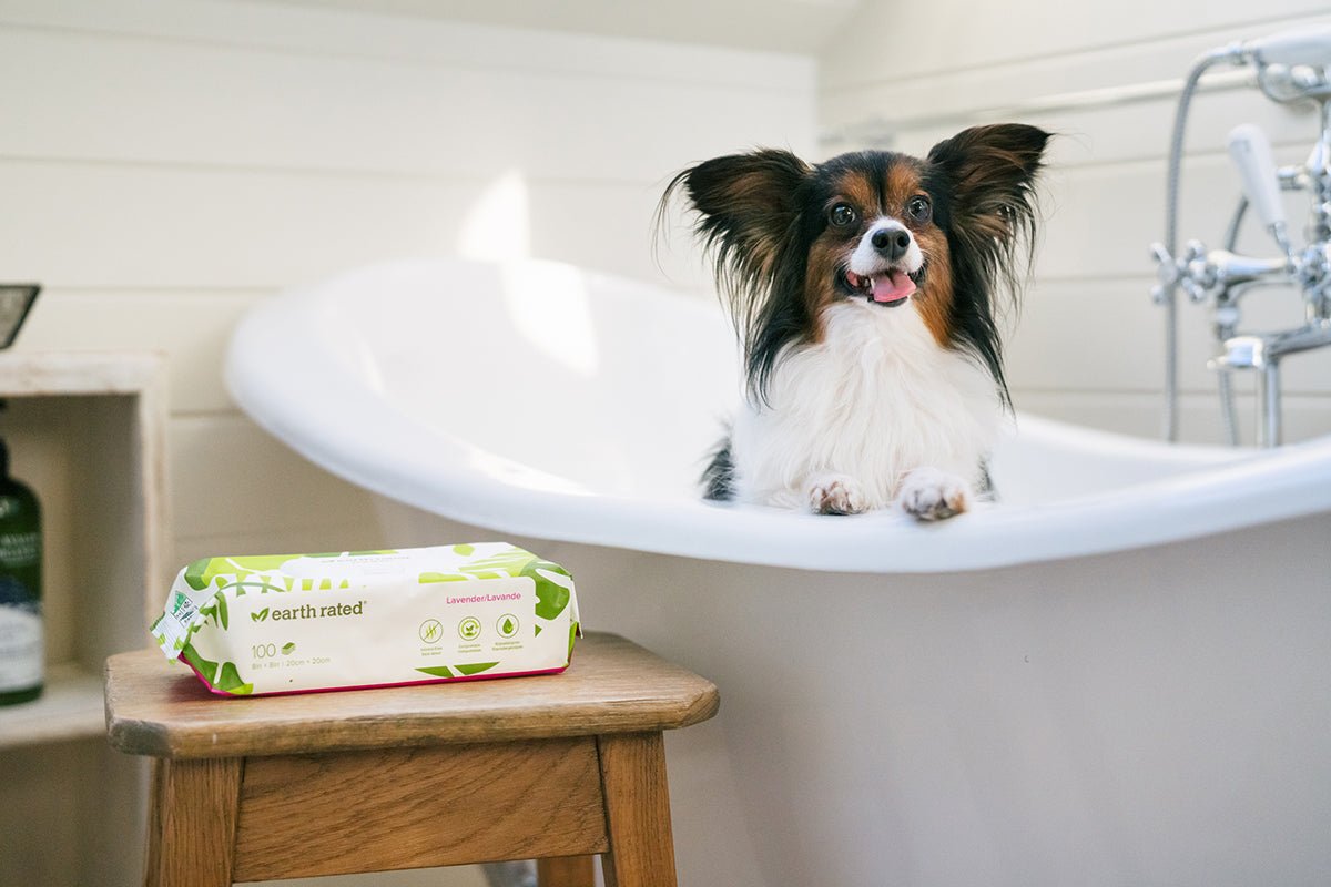 Why Your Dog Hates Baths (and What To Do About It)