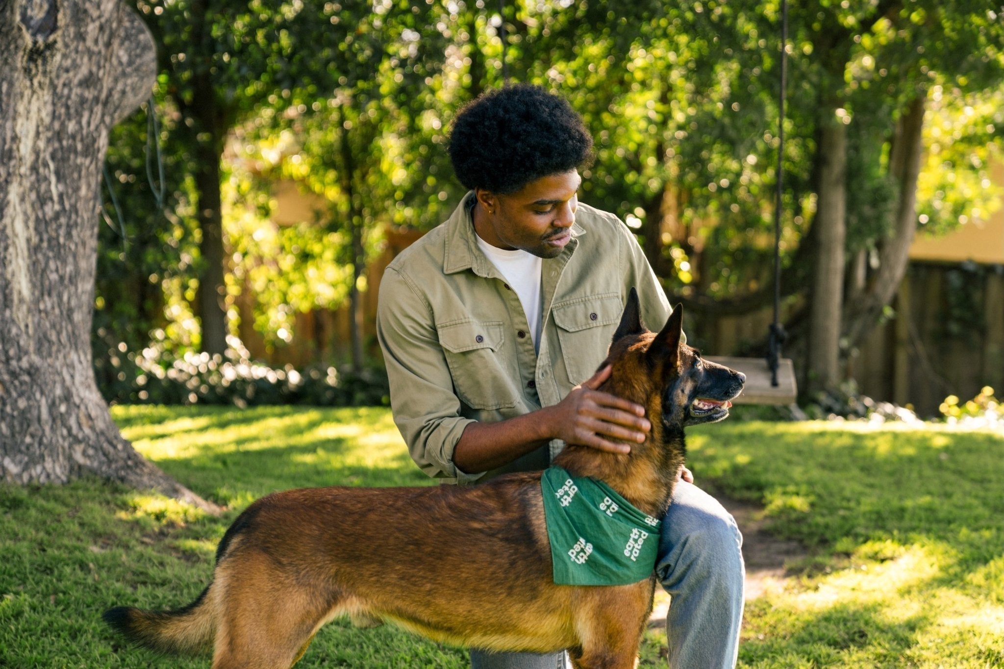 German Shepherd Grooming Made Simple: Tools, Schedule, and Coat Care