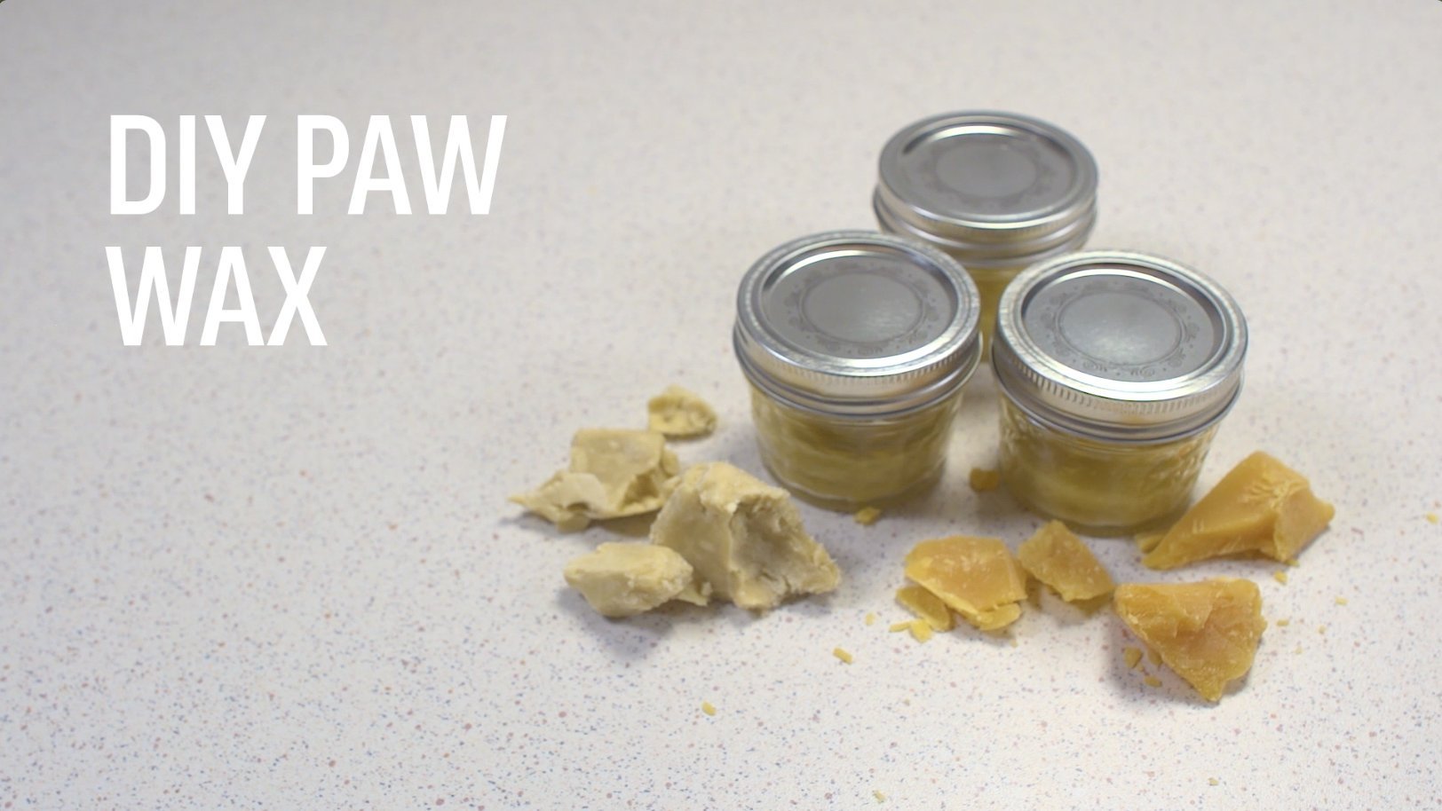 Make Your Own Dog Paw Wax