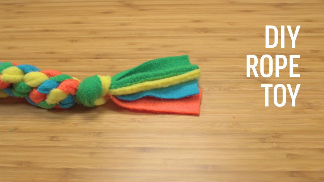 DIY a Rope Toy For your Dog | Earth Rated® Blog Post