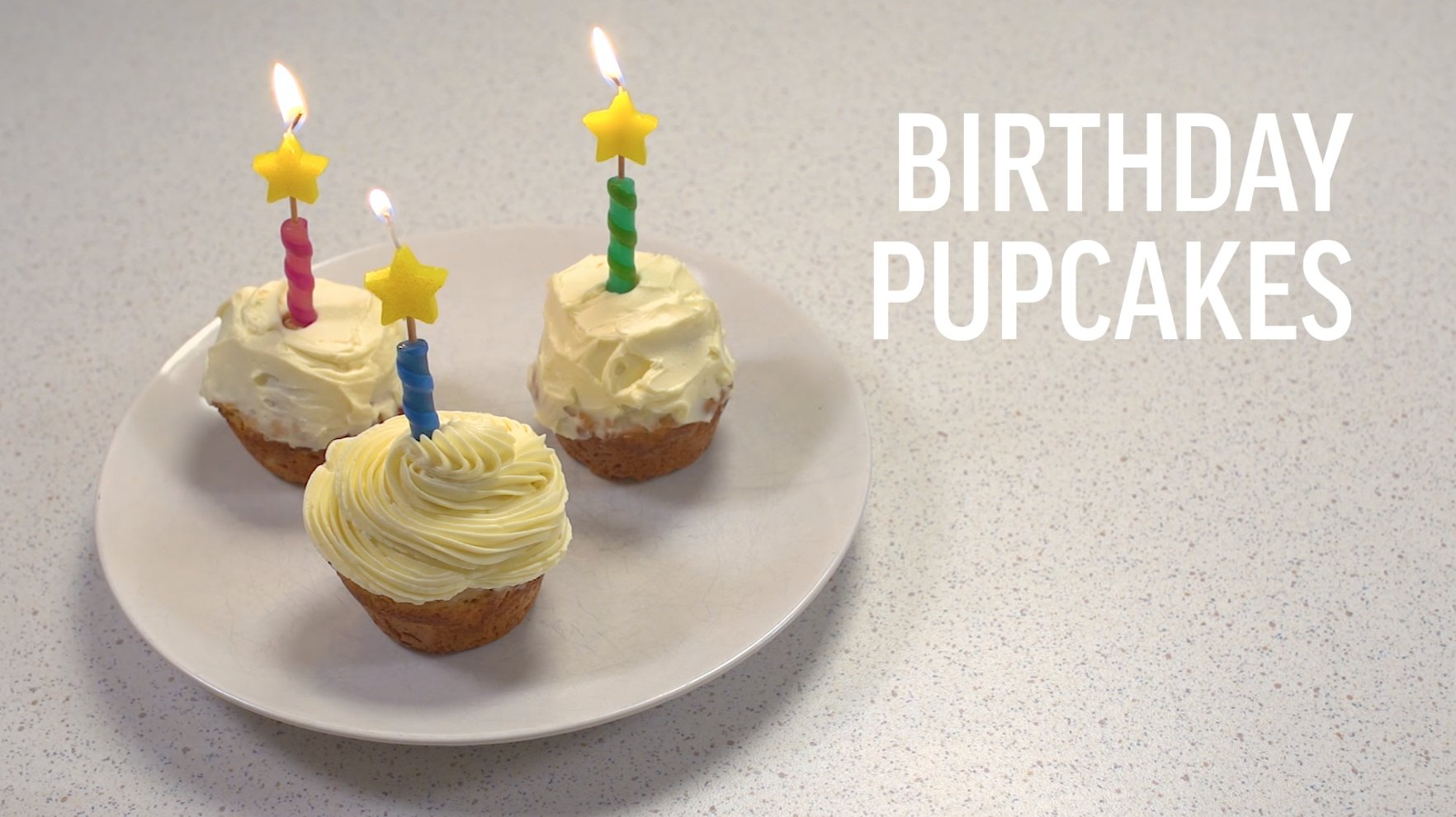 Birthday Cupcakes For Dogs Recipe