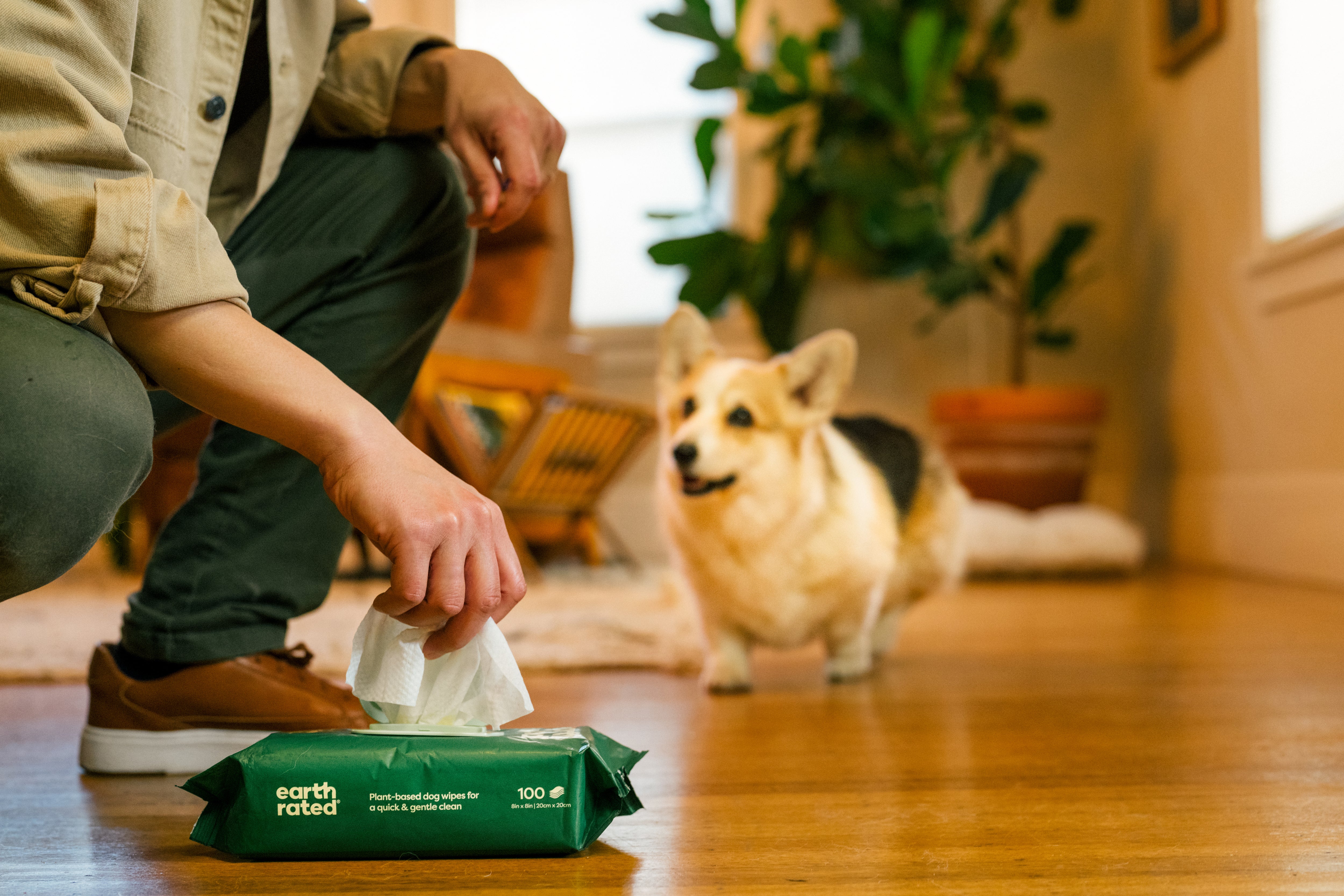 Un-Skunk My Dog: Your Ultimate Odor Elimination Guide
