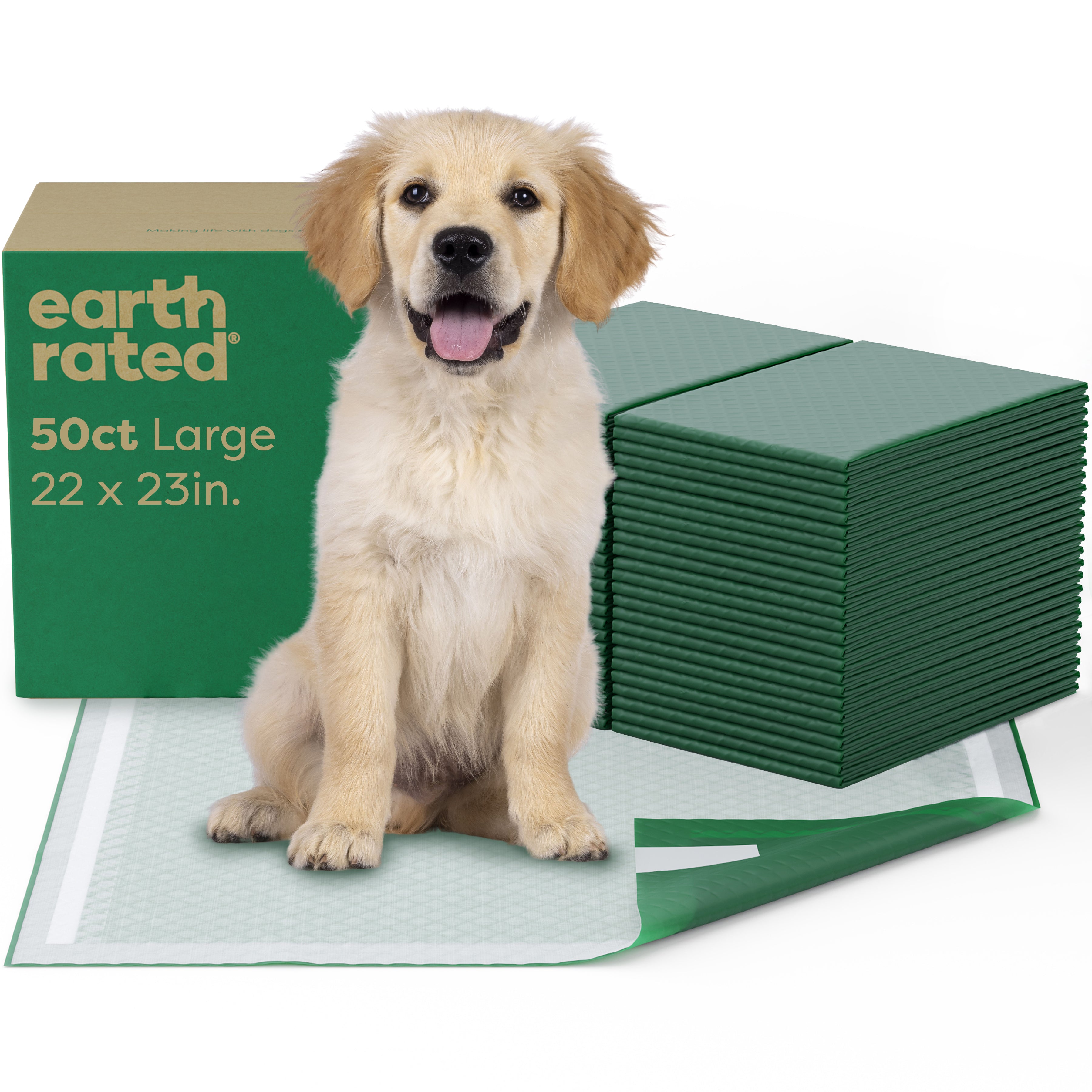 Adult Dog Can Yorkies Be Potty Trained Older Dog How To Toilet