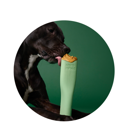 Dog Chew Toy: Enrichment Made Easy – Earth Rated