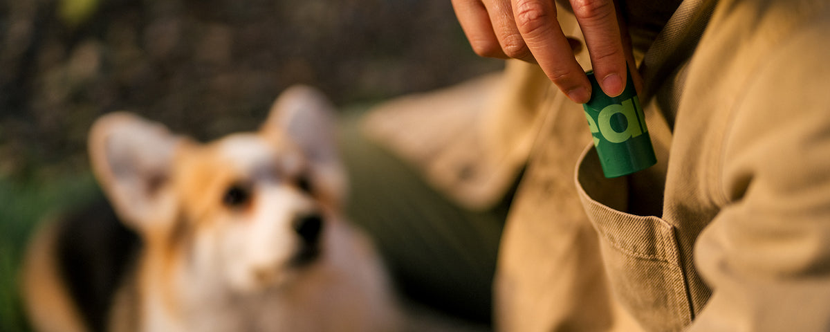 Earth Rated Dog Poop Bags: 100% Leak-Proof Guaranteed