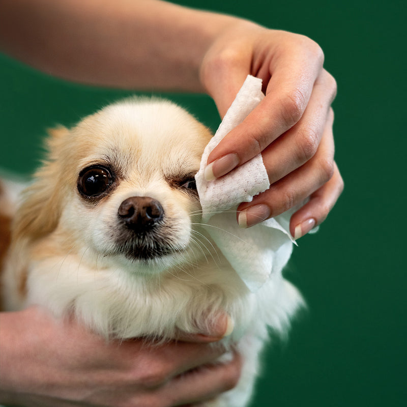 Earth Rated Dog Eye Wipes: Tackle Tear Stains in a Blink