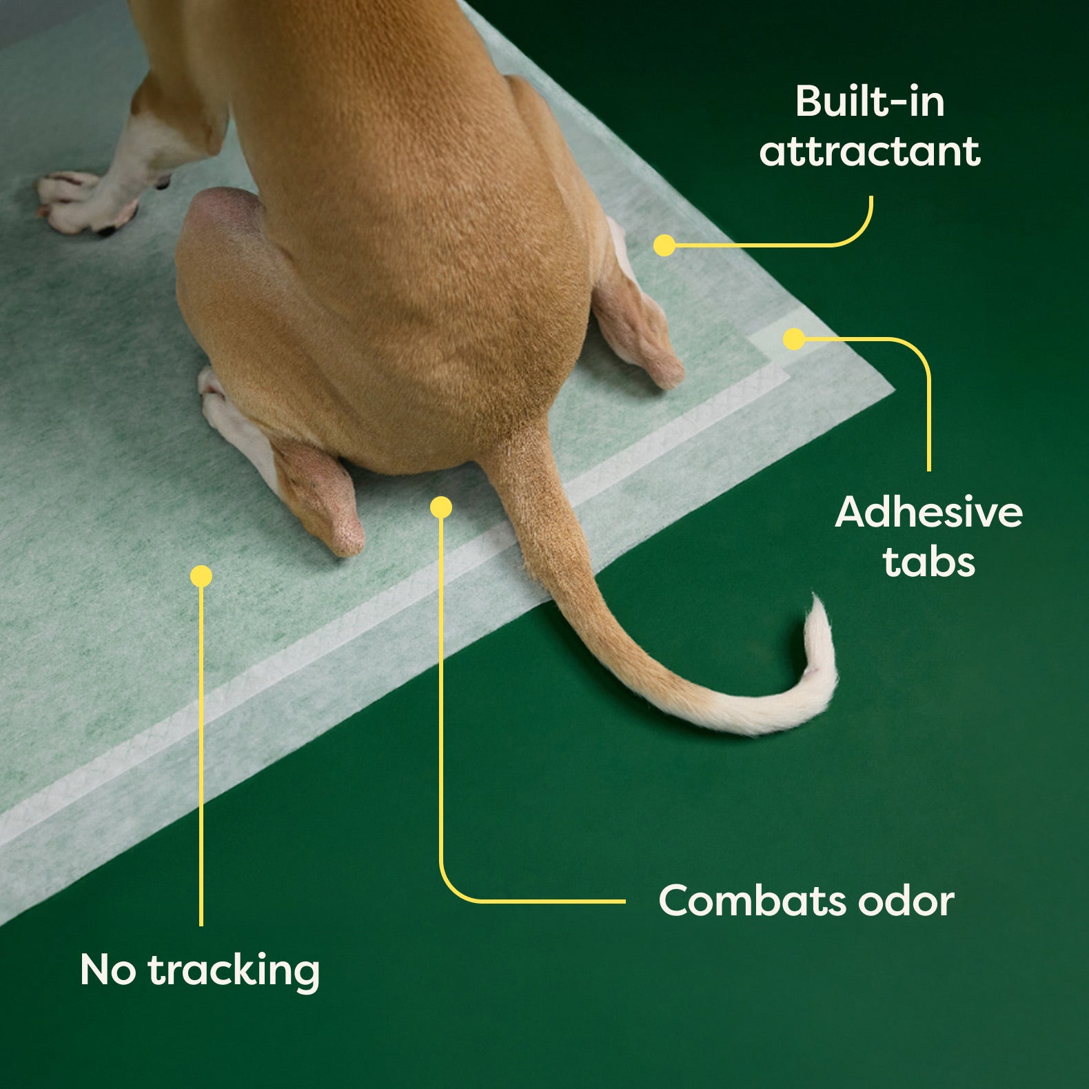 Dog Pee Pads - Max Absorbency Training Pads With AbsorbShield™+ Technology