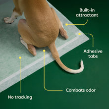 Dog Pee Pads - Max Absorbency Training Pads With AbsorbShield™+ Technology