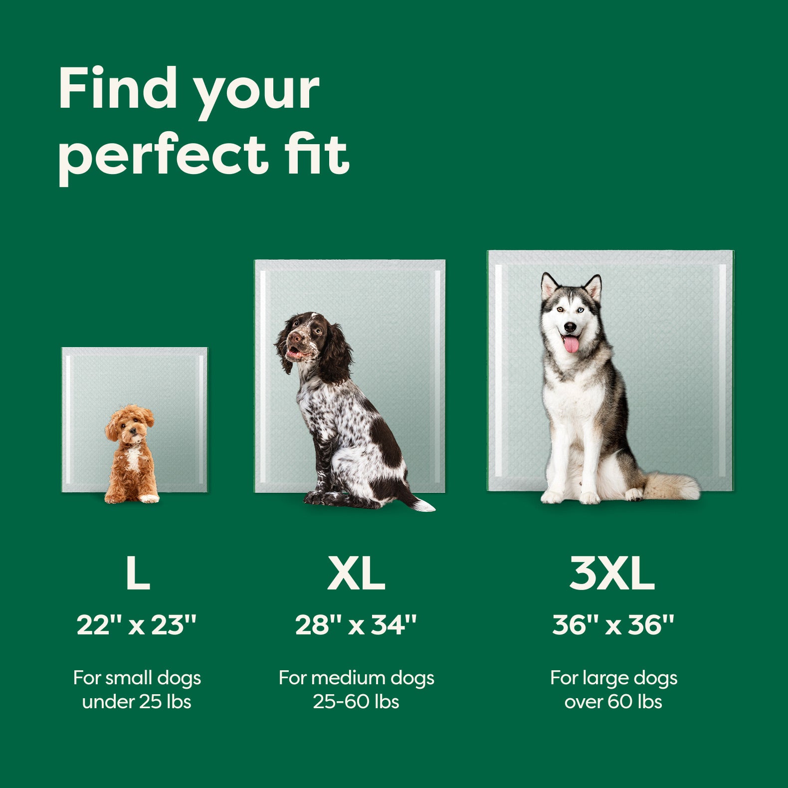 Dog Pee Pads - Max Absorbency Training Pads With AbsorbShield™+ Technology