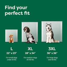 Dog Pee Pads - Max Absorbency Training Pads With AbsorbShield™+ Technology