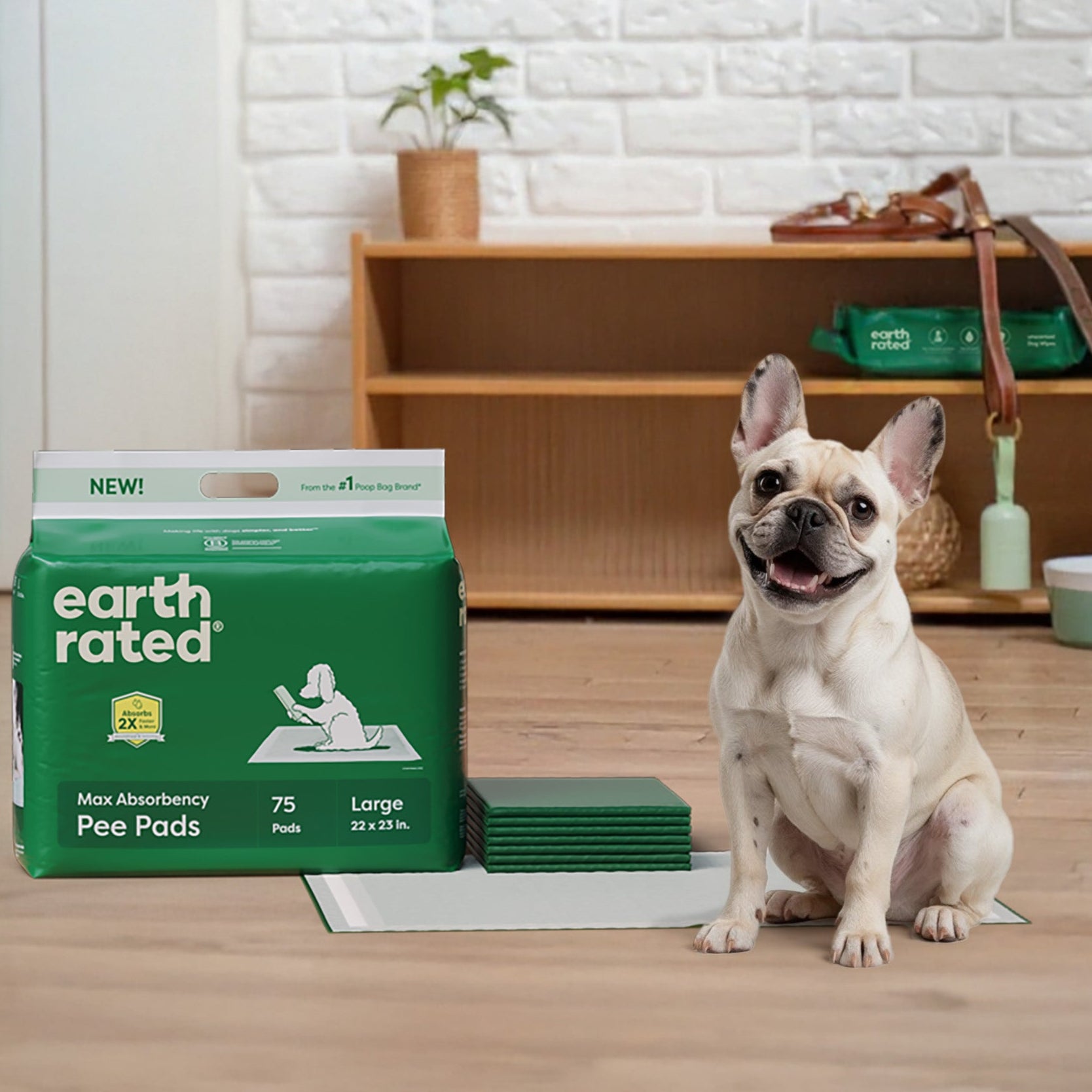 Dog sitting next to Earth Rated pee pads packaging on a wooden floor.