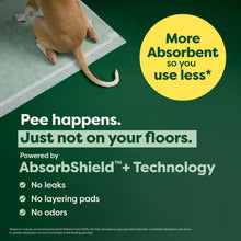 Advertisement for absorbent pads with a dog on a green background and text highlighting features.