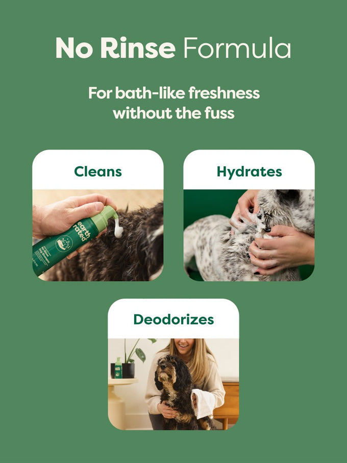 No-Rinse Dog Shampoo - Waterless Foam Cleaner for All Coats