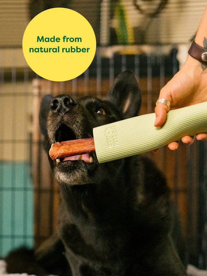 Curated visual reference: Visual Reference: Earth Rated Dog Enrichment Toy The Ultimate Snack Holder