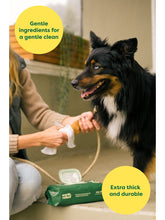 Lingettes de toilettage pour chiens à base de plantes