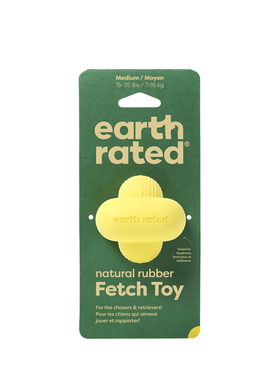 Fetch Toy