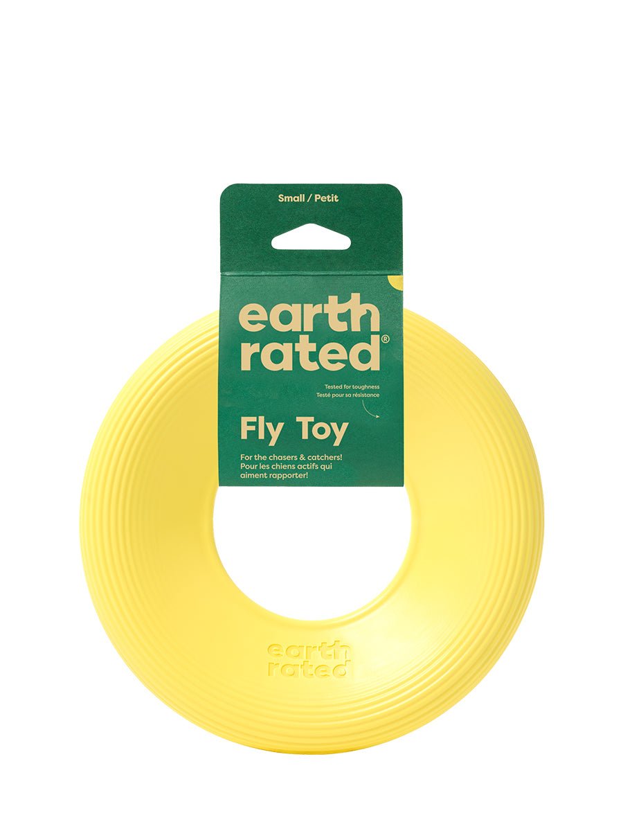Fly Toy